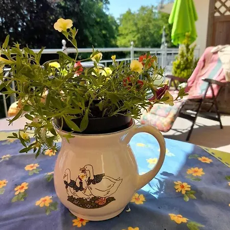 Haus Am Koelpinsee Fw Seejuwel Objekt Id 13833-4 Appartement *